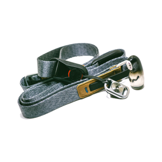 Pellentesque habitant morb